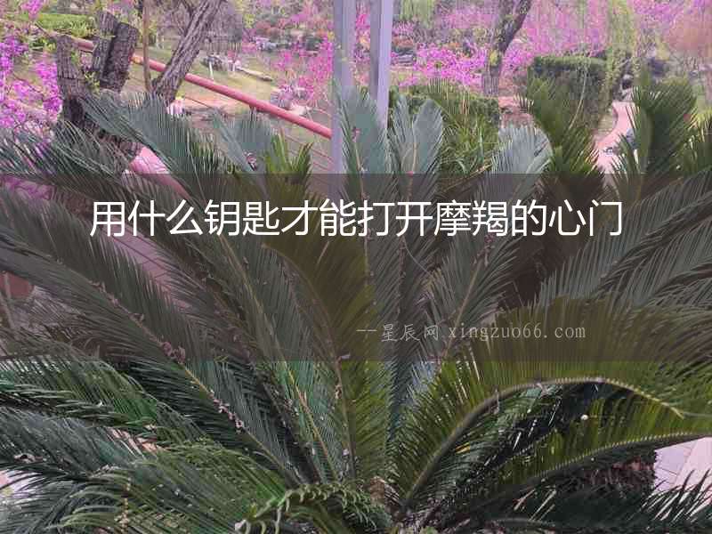 用什么鑰匙才能打開摩羯的心門