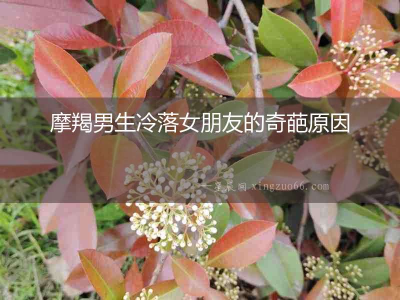 摩羯男生冷落女朋友的奇葩原因