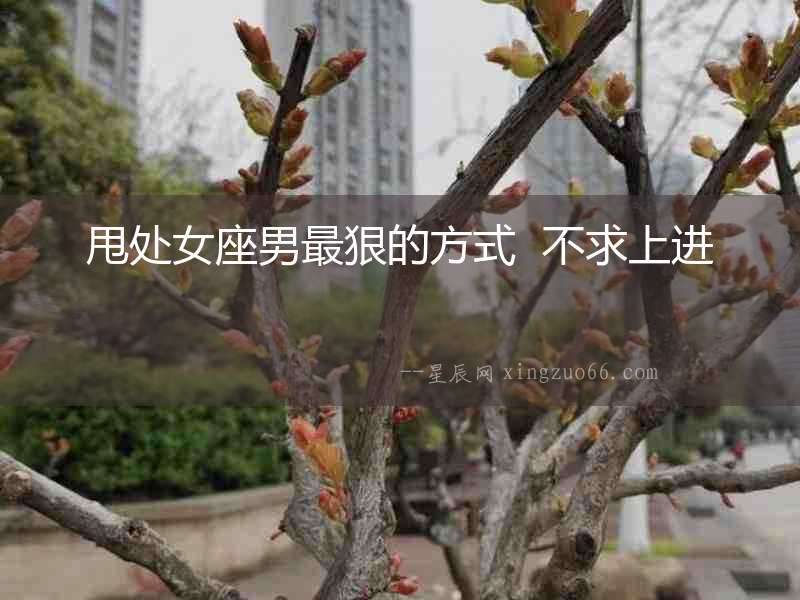 甩處女座男最狠的方式  不求上進