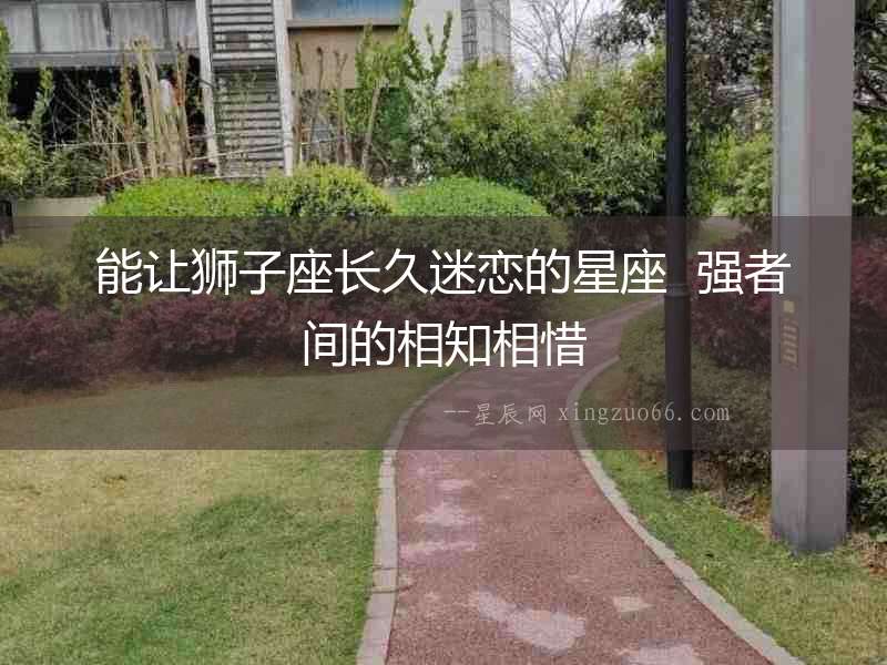 能讓獅子座長(zhǎng)久迷戀的星座  強(qiáng)者間的相知相惜