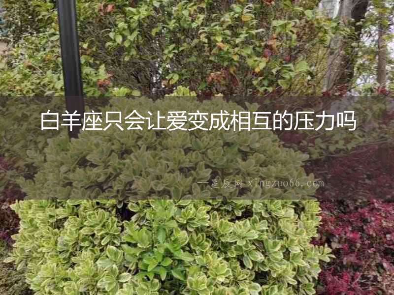 白羊座只會讓愛變成相互的壓力嗎