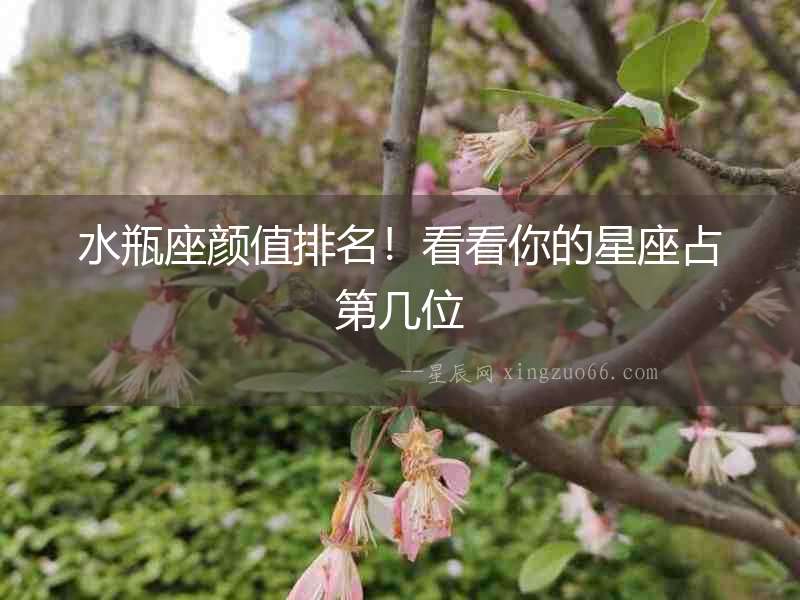 水瓶座顏值排名！看看你的星座占第幾位