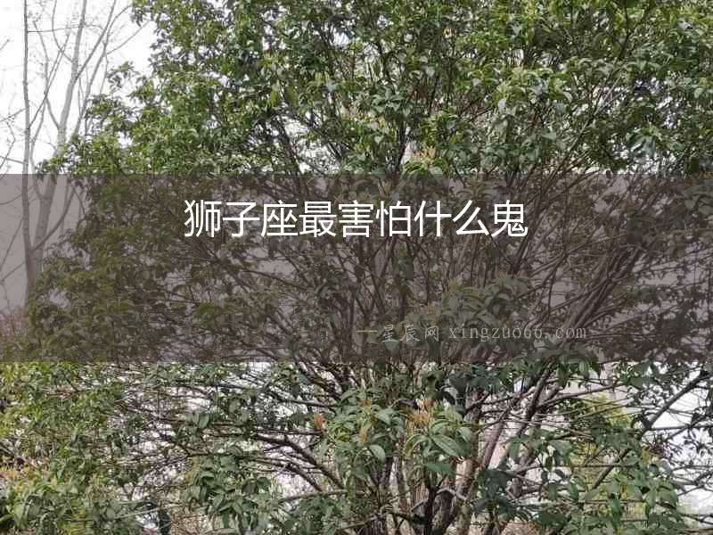 獅子座最害怕什么鬼