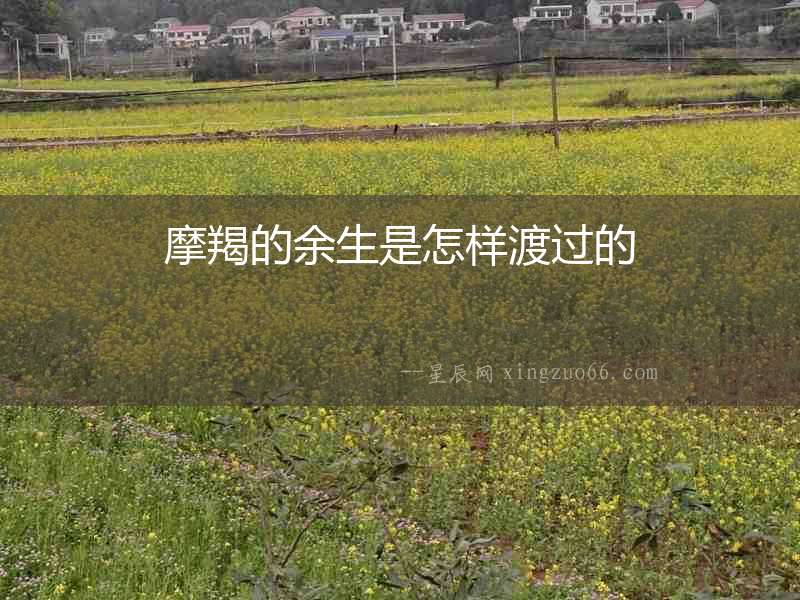 摩羯的余生是怎樣渡過的