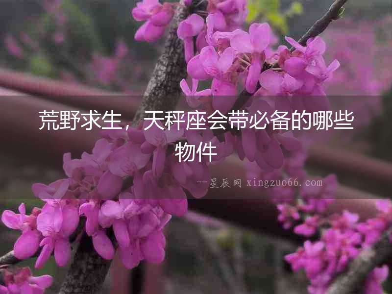 荒野求生，天秤座會帶必備的哪些物件