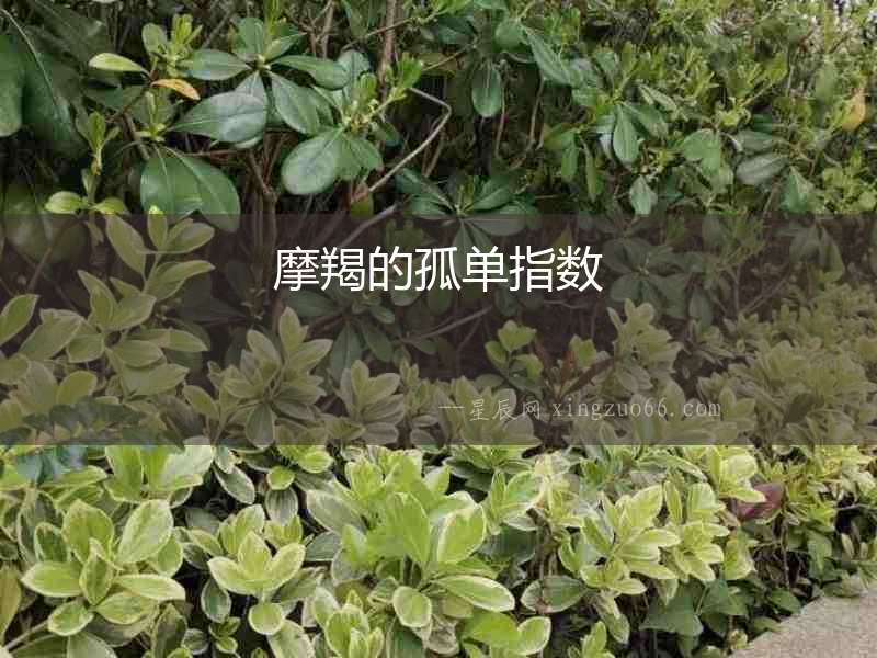 摩羯的孤單指數