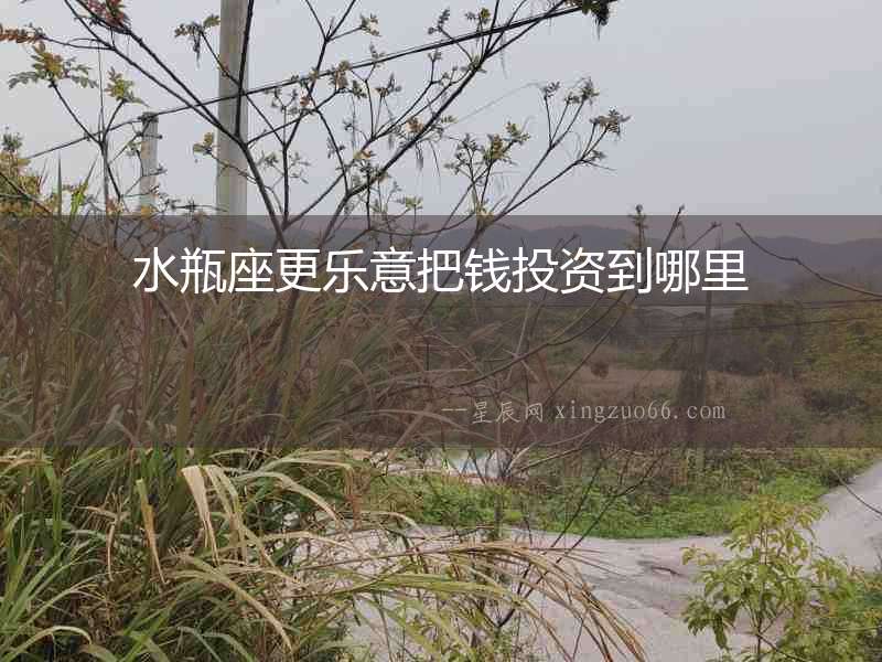 水瓶座更樂意把錢投資到哪里