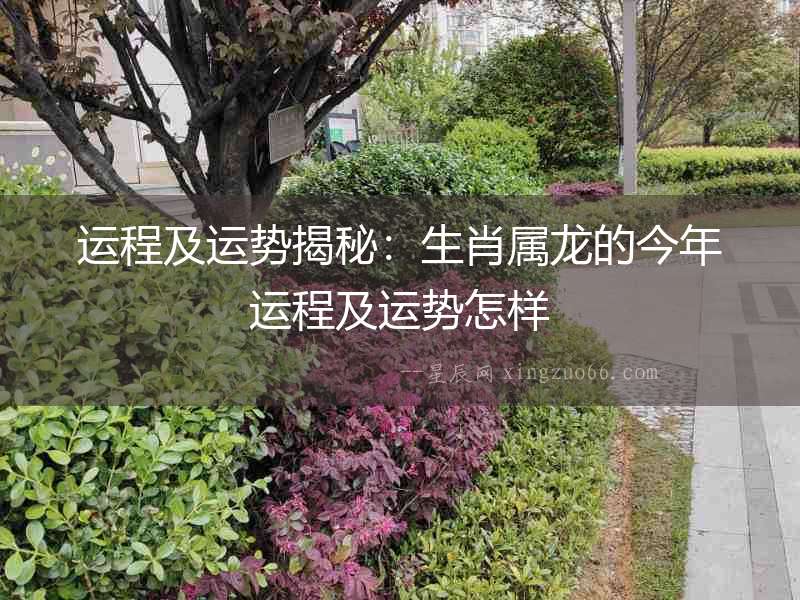 運程及運勢揭秘：生肖屬龍的今年運程及運勢怎樣