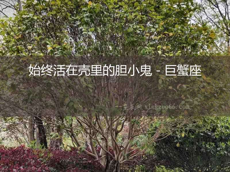 始終活在殼里的膽小鬼－巨蟹座