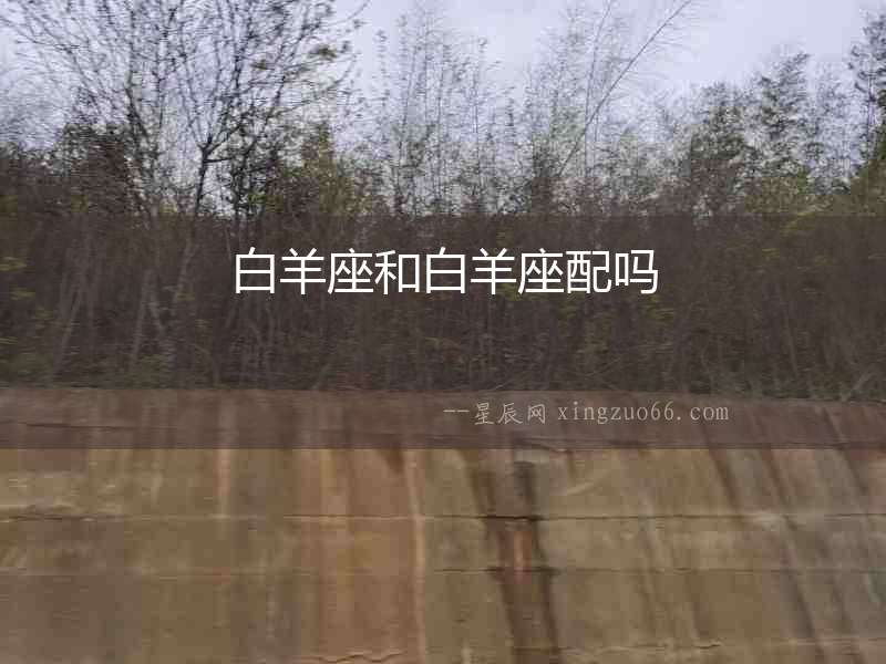 白羊座和白羊座配嗎