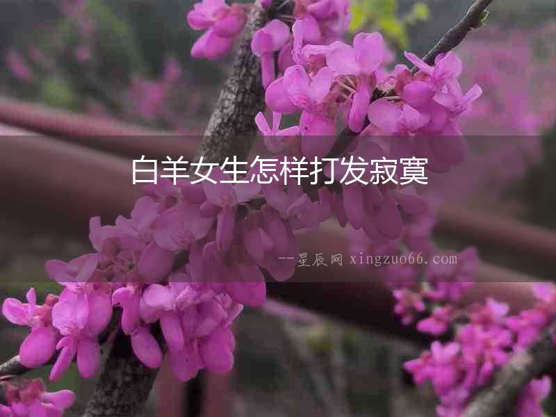 白羊女生怎樣打發寂寞