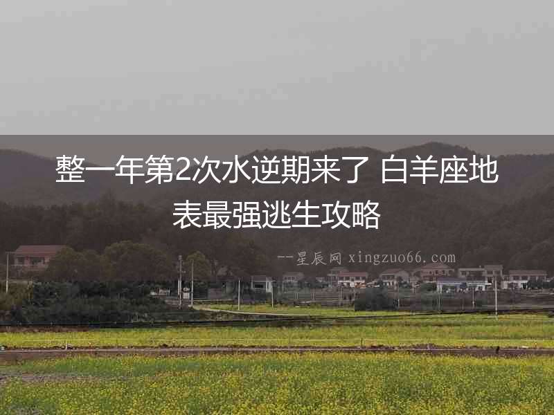 整一年第2次水逆期來了 白羊座地表最強逃生攻略