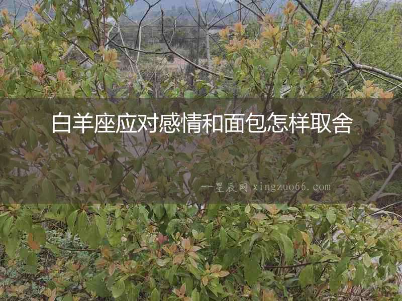 白羊座應對感情和面包怎樣取舍