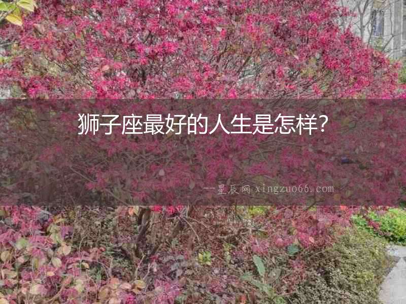 獅子座最好的人生是怎樣？