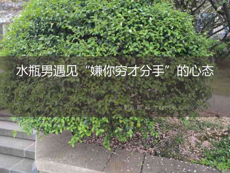 水瓶男遇見“嫌你窮才分手”的心態