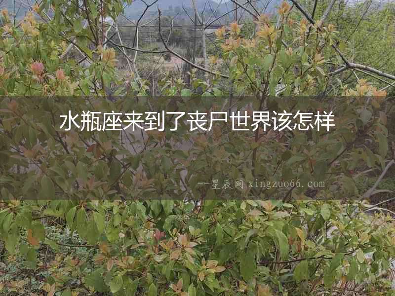 水瓶座來到了喪尸世界該怎樣