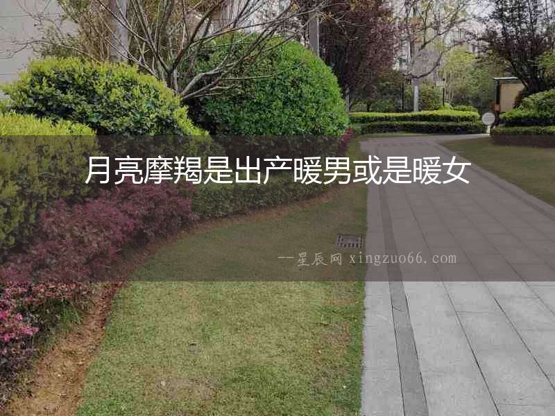 月亮摩羯是出產暖男或是暖女