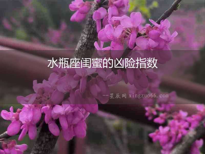 水瓶座閨蜜的兇險指數