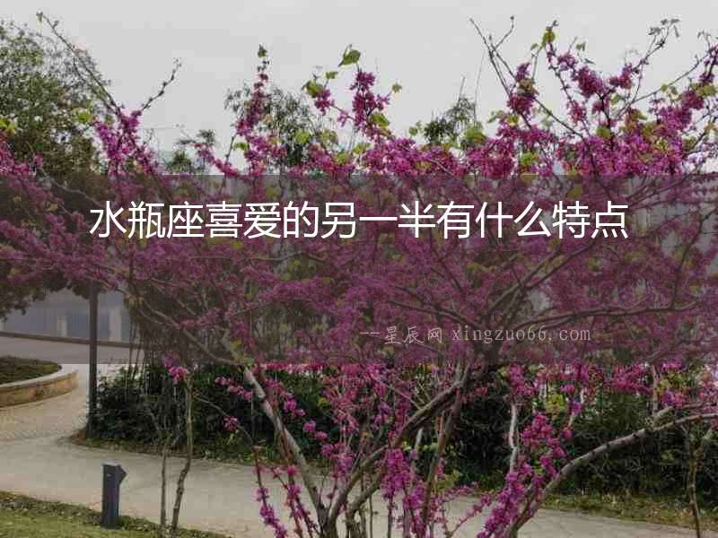 水瓶座喜愛的另一半有什么特點