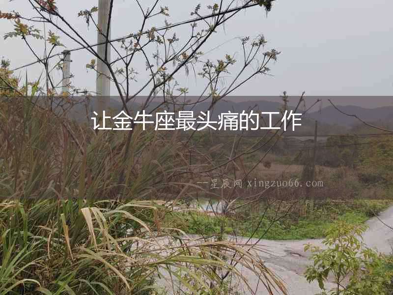 讓金牛座最頭痛的工作