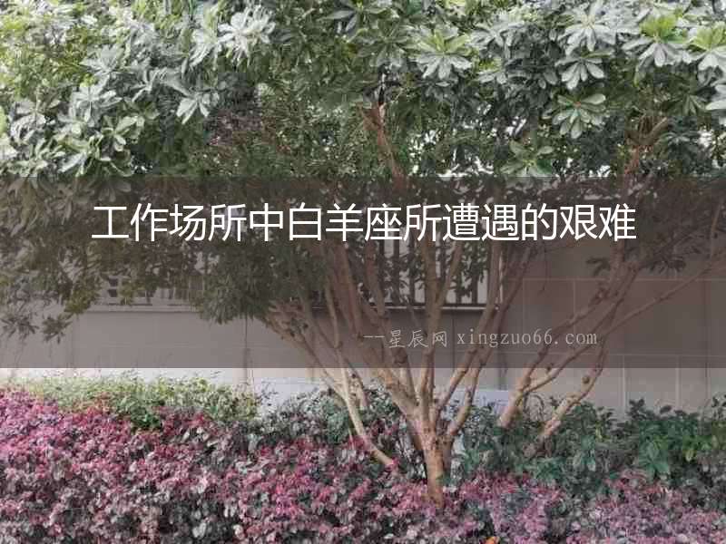 工作場所中白羊座所遭遇的艱難
