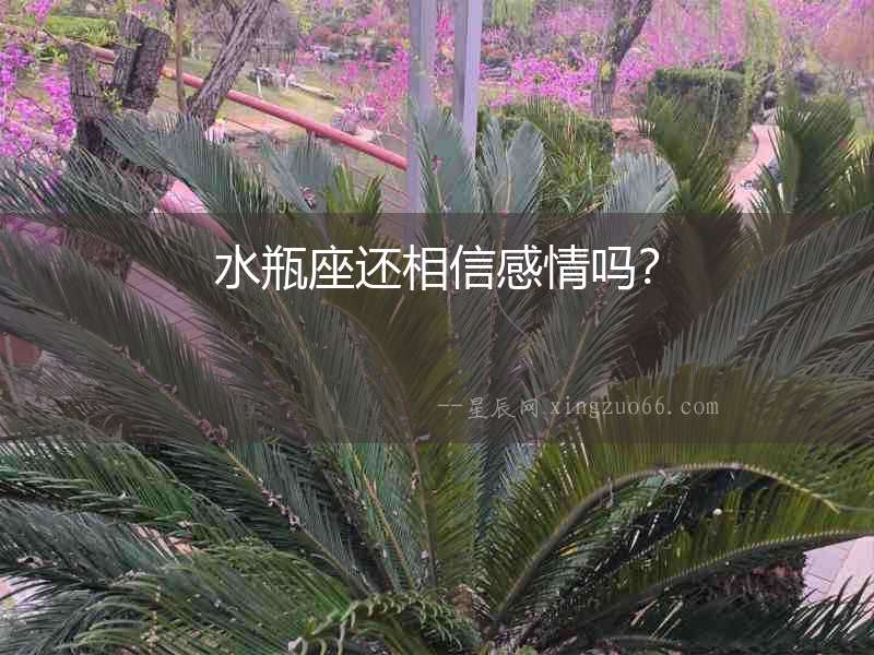 水瓶座還相信感情嗎？