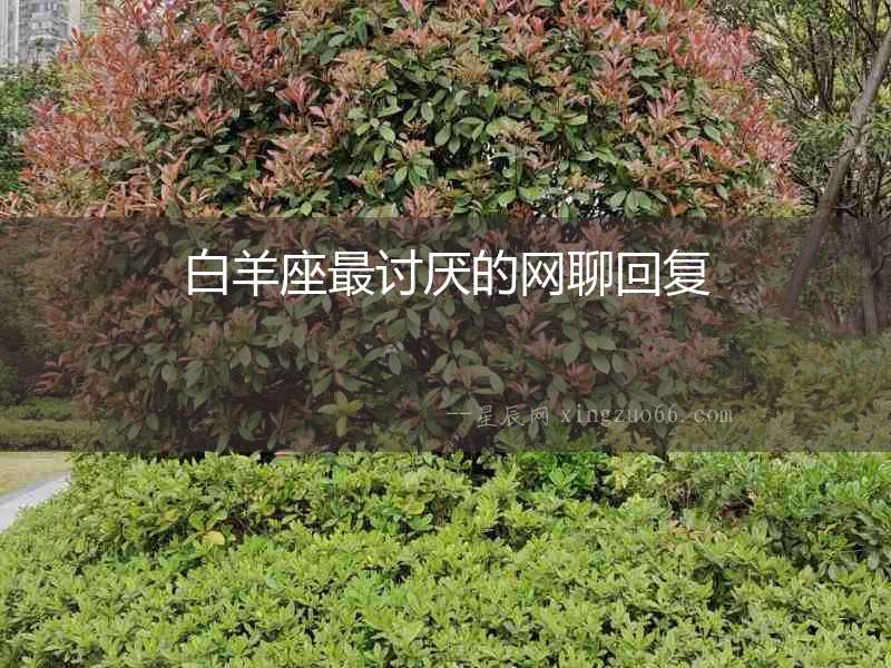 白羊座最討厭的網聊回復