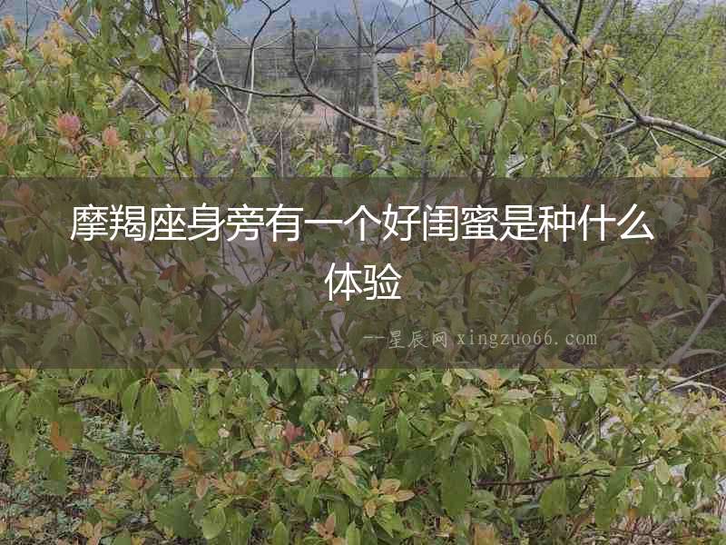 摩羯座身旁有一個好閨蜜是種什么體驗