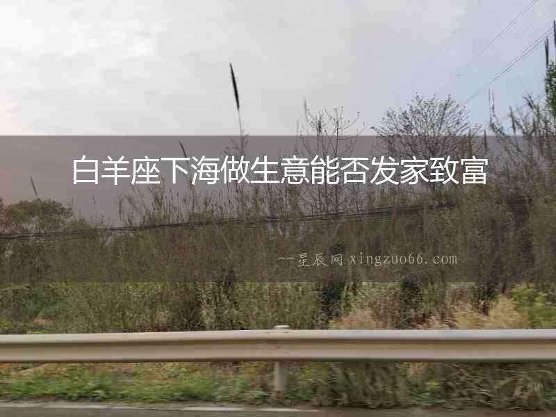 白羊座下海做生意能否發(fā)家致富