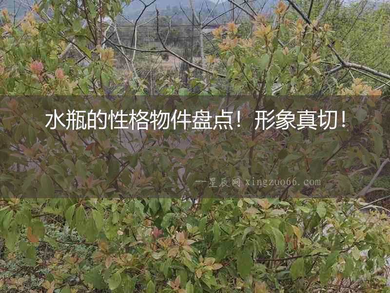 水瓶的性格物件盤點！形象真切！