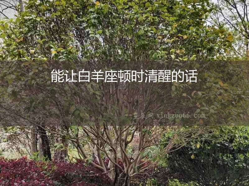 能讓白羊座頓時清醒的話