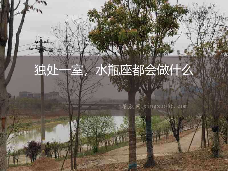 獨處一室，水瓶座都會做什么