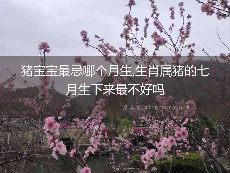 豬寶寶最忌哪個(gè)月生,生肖屬豬的七月生下來最不好嗎