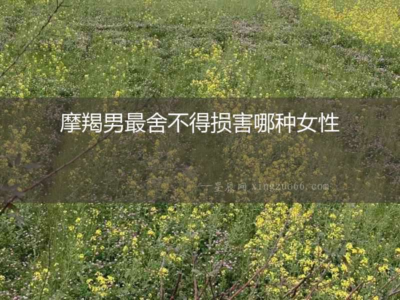 摩羯男最舍不得損害哪種女性