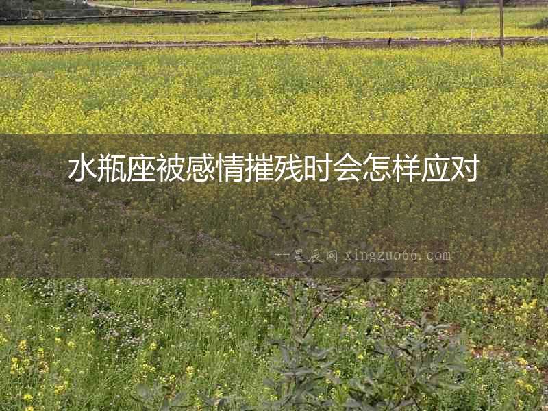水瓶座被感情摧殘時(shí)會怎樣應(yīng)對