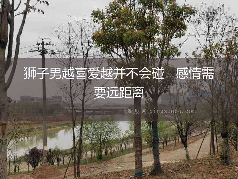 獅子男越喜愛越并不會碰   感情需要遠距離