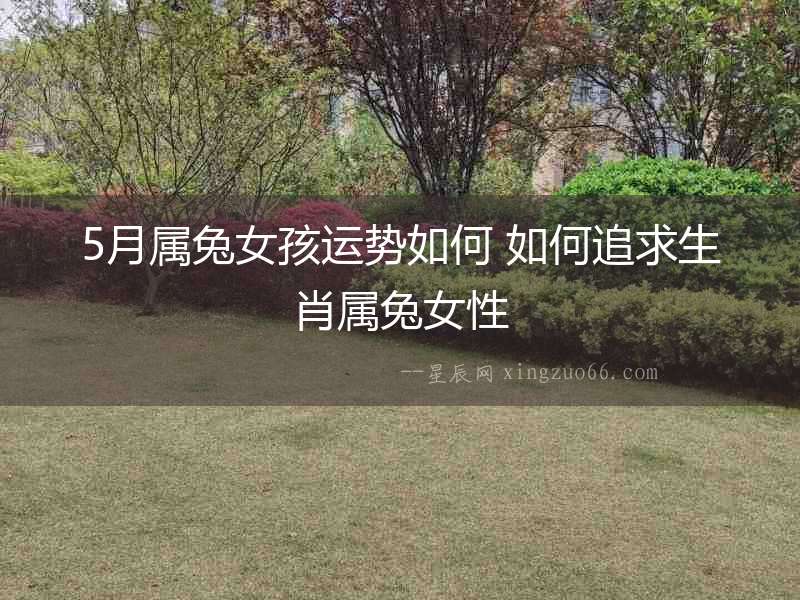 5月屬兔女孩運勢如何 如何追求生肖屬兔女性