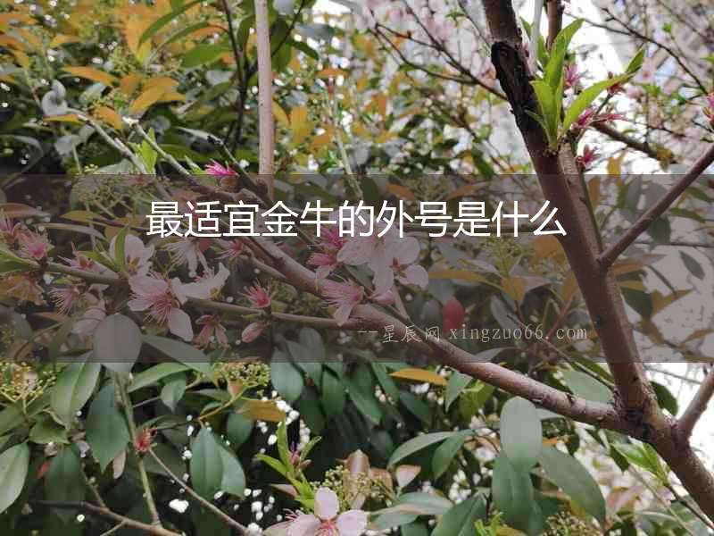 最適宜金牛的外號(hào)是什么