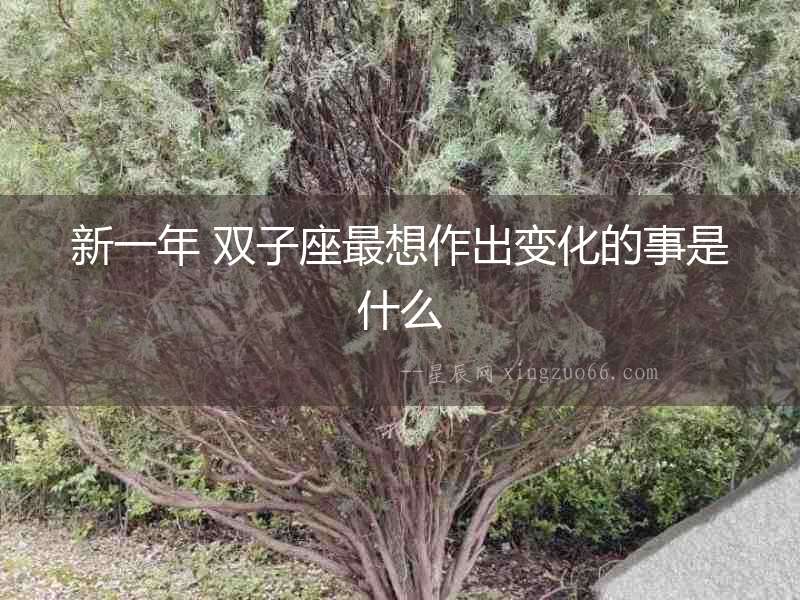 新一年 雙子座最想作出變化的事是什么