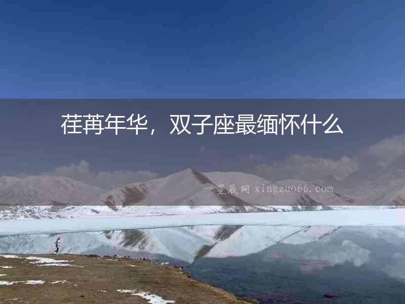 荏苒年華，雙子座最緬懷什么