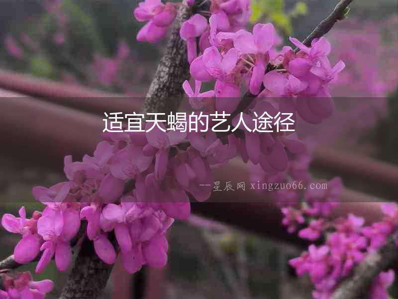 適宜天蝎的藝人途徑