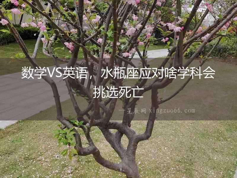數(shù)學(xué)VS英語(yǔ)，水瓶座應(yīng)對(duì)啥學(xué)科會(huì)挑選死亡