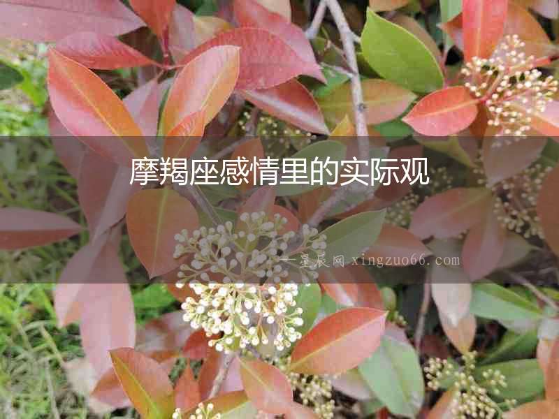 摩羯座感情里的實際觀