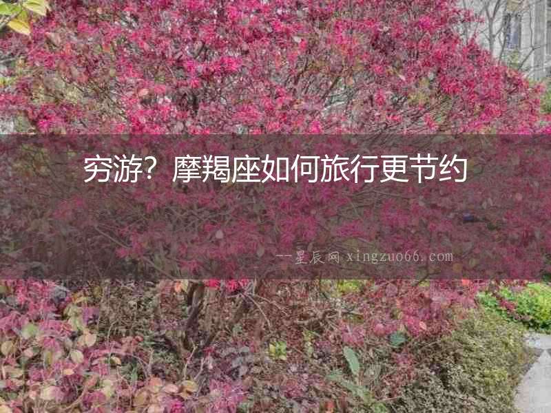 窮游？摩羯座如何旅行更節約