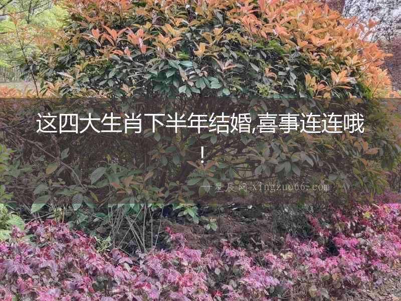這四大生肖下半年結(jié)婚,喜事連連哦!