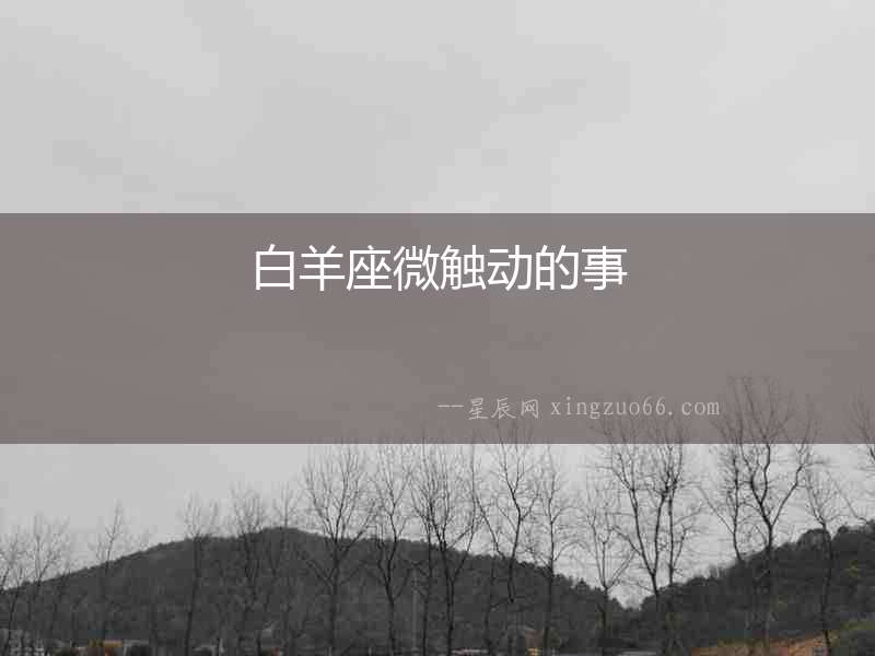 白羊座微觸動的事