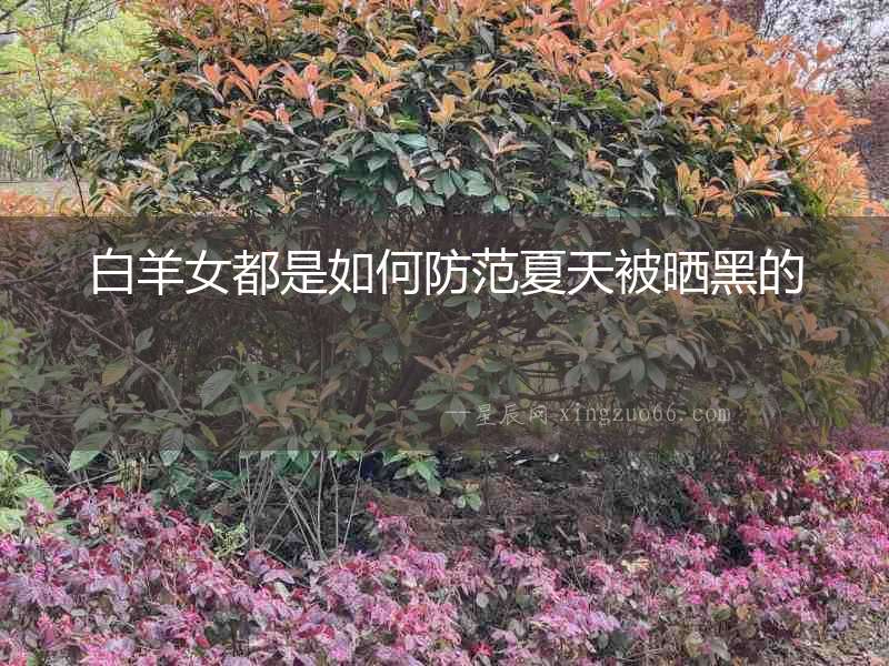 白羊女都是如何防范夏天被曬黑的