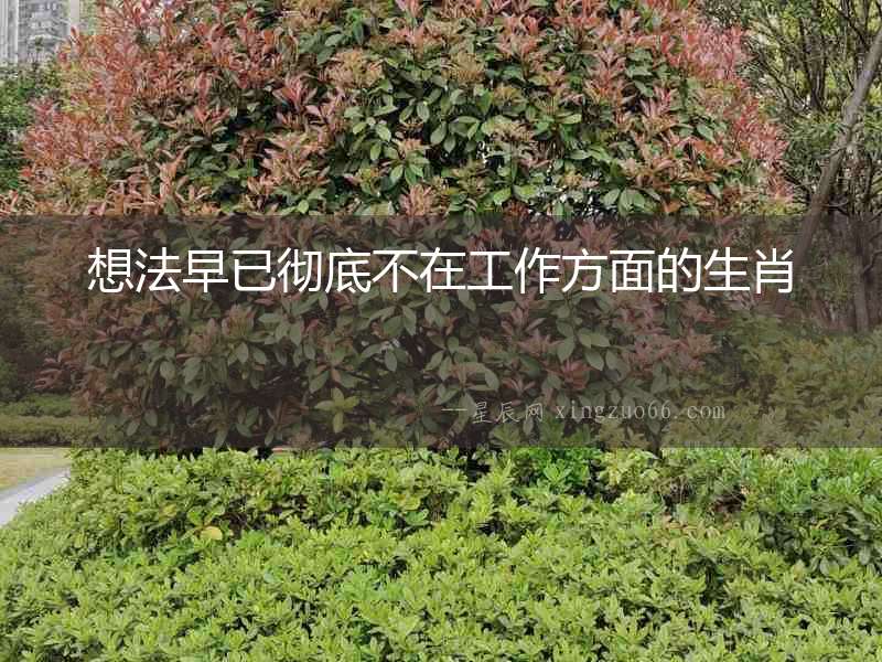 想法早已徹底不在工作方面的生肖