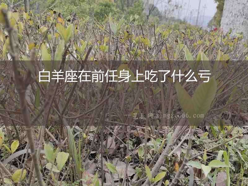 白羊座在前任身上吃了什么虧