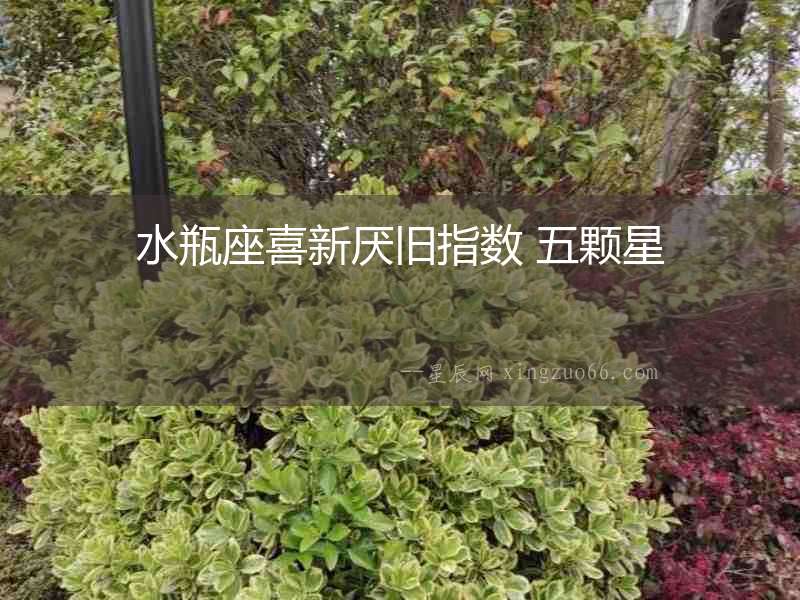 水瓶座喜新厭舊指數 五顆星